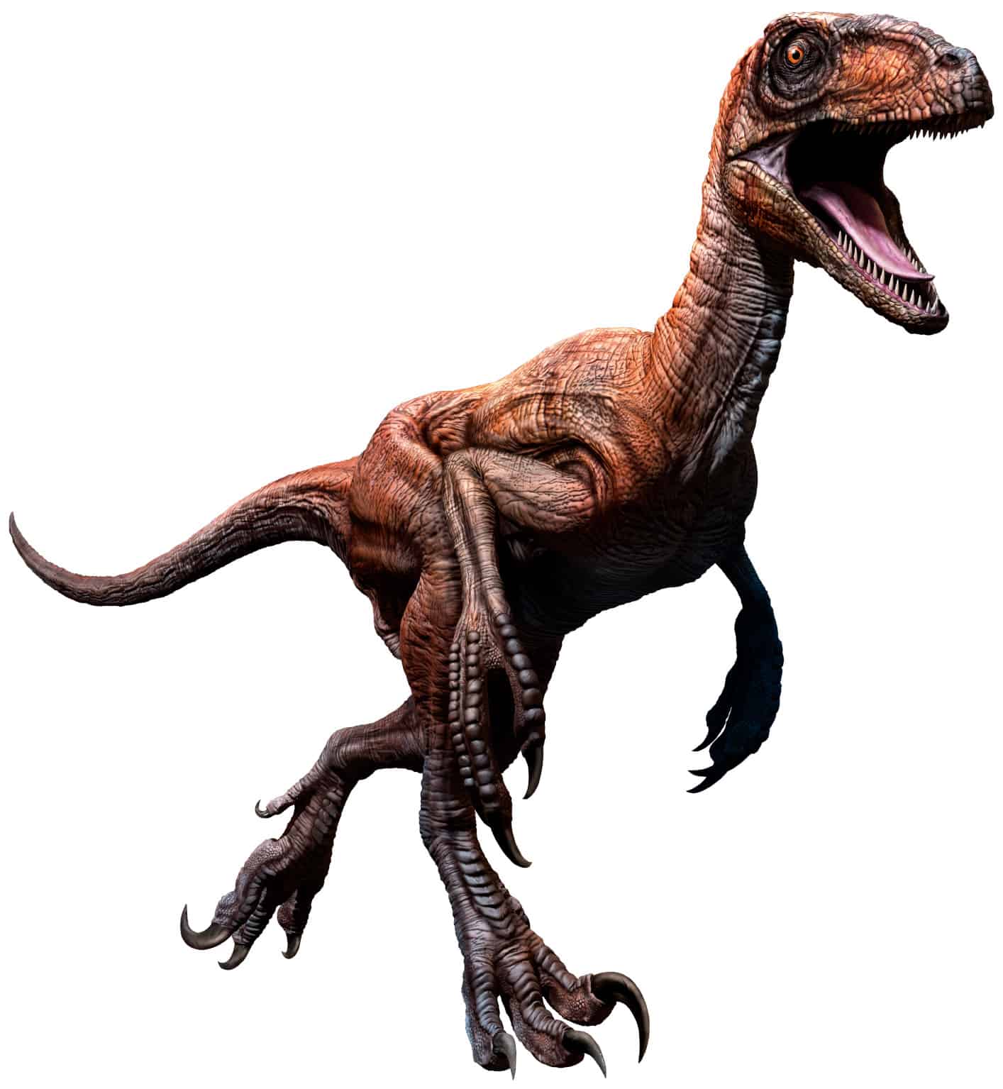 دينونيكوسدم الديناصورات - ديناصور ال