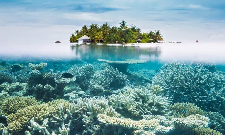 الواقي الشمسي - جزر المالديف