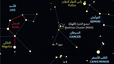كوكبة السرطان